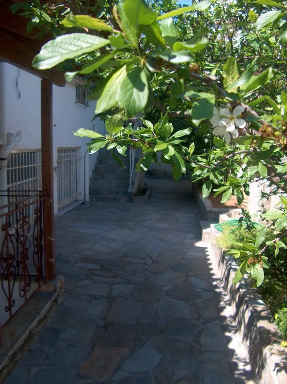 아르테미다 Athenian Spiti 빌라 객실 사진
